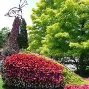 むらさきの画像