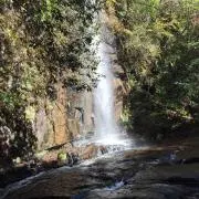 Aoyamaの画像