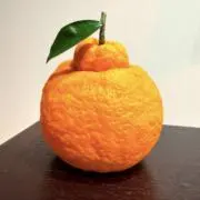 おゆの画像