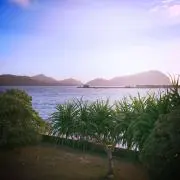 Makkieの画像