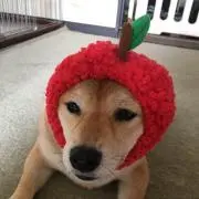 タロウ