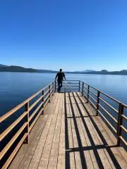 最終値下げ 約4.7kg 鹿の角 10本セット - メルカリ