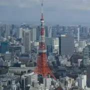 ちびちゃんの画像