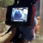 yの画像
