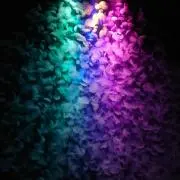 クラゲの画像