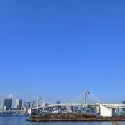 アイスの画像