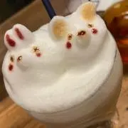 らーゆの画像