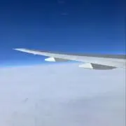 tsmyの画像