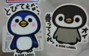 ペンギンの画像