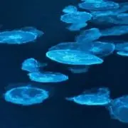 junの画像