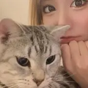 わんにゃんの画像