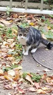 BLUEの画像