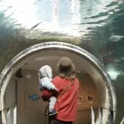 むぅの画像