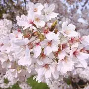 ★つうねぇ★