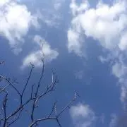 きなco✳︎の画像