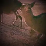 みなと