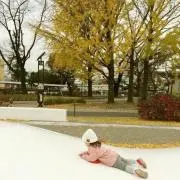 招き猫様の画像