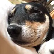 ノリコ