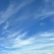 ぱんだの画像