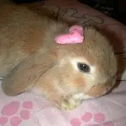POPO　プロフ必読!!の画像