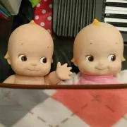 ラプトル【プロフィールを閲覧下さい】の画像