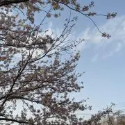 みょん