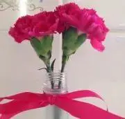 ミルミル　再開しましたの画像