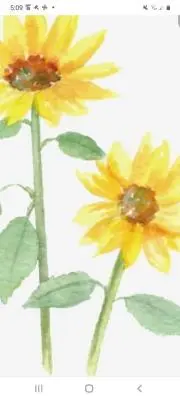 シュークリームの画像