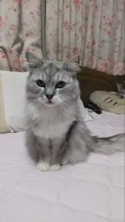 mmmの画像