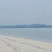 NMHの画像