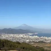 ロメの画像