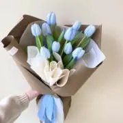 すかいぶるーの画像