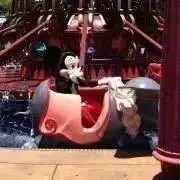 しのの画像