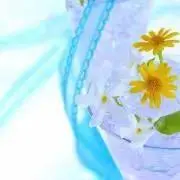 はる