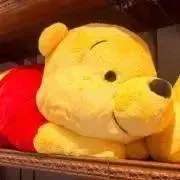 ぷーたん土日祝のみ発送★7月SALE中★の画像