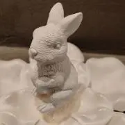 白うさぎの画像