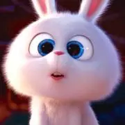 ぬこの画像