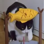 mmの画像