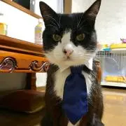 ちえちゃんの画像