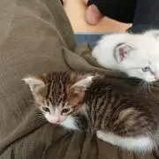 まりちゃんの画像