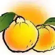 Y'zの画像