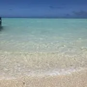 ななの画像