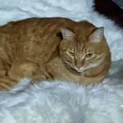 みもひろ