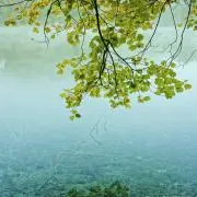 ⭐m⭐の画像