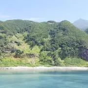 タンタカの画像