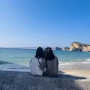 h.inattyの画像