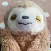 もっくんちゃんの画像