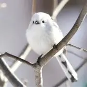 Namiの画像