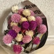 hiyokoの画像