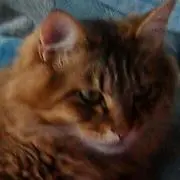 ソラくん